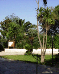 residence maddalena gargano vieste case e appartamentini in affitto nel gargano
