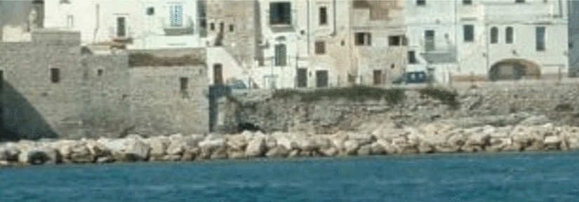 il gargano è proprio una terra da visitare